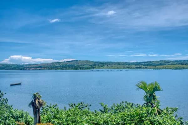 Reiseführer Uganda – Gorillas, Savannen und Victoria-See