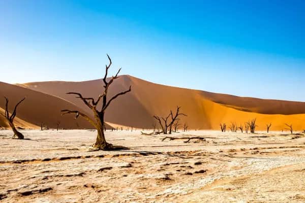Reisetipps Namibia – Abenteuer im Land der Kontraste
