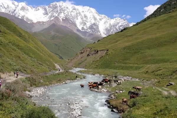 Maßgeschneiderte Touren durch Georgien buchen