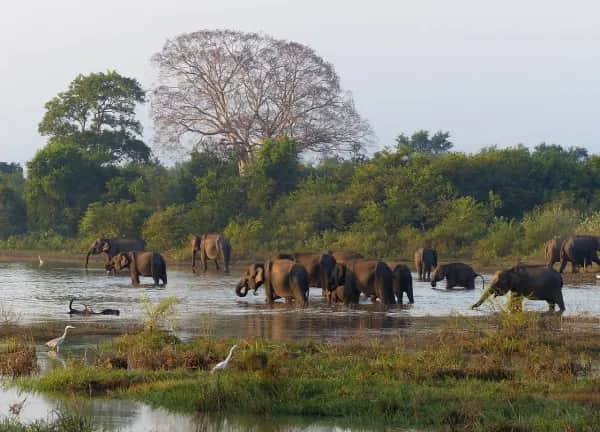 Individuelle Reisen nach Sri Lanka erleben