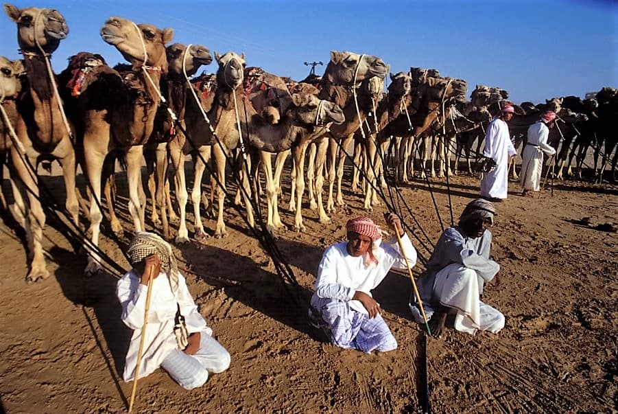 Oman Rundreise exklusiv – Antike Städte, Sanddünen und die Küsten des Arabischen Meeres