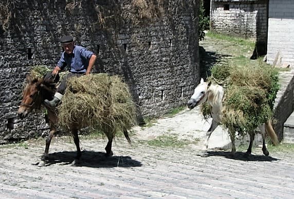 Individuelle Rundreise durch Albanien – Unentdeckte Perlen des Balkans erleben