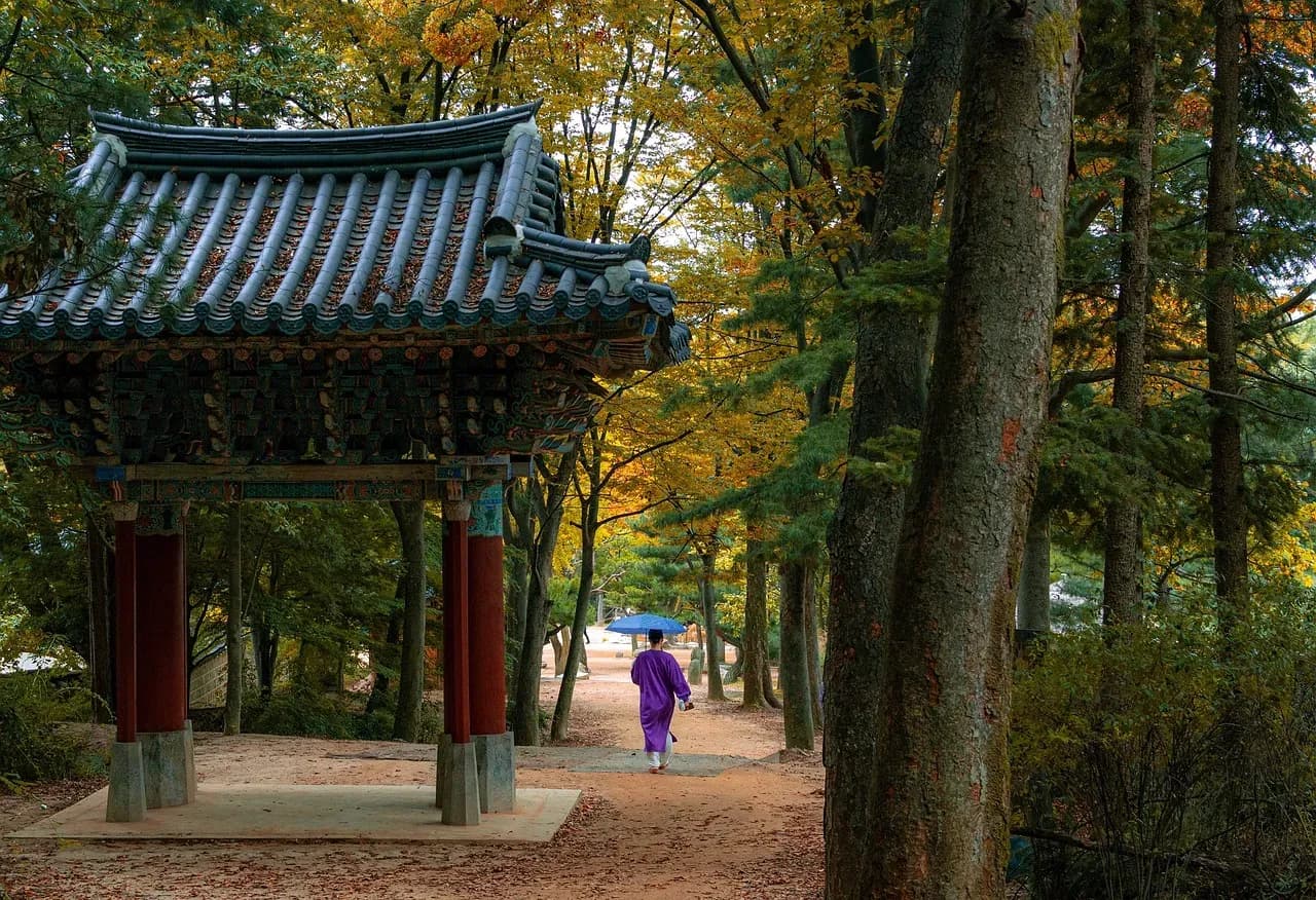 Reise nach Korea – Highlights von Seoul bis zur Insel Jeju