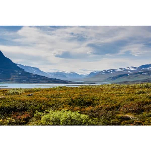 Einzigartige Reise nach Schweden