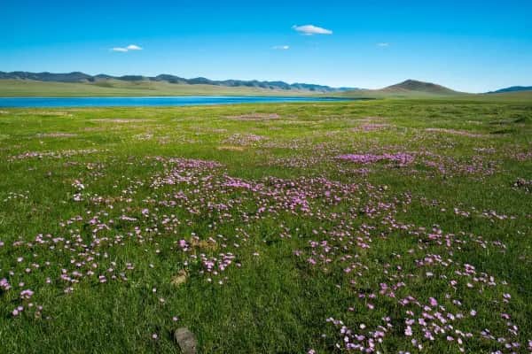 Maßgeschneiderte Reisen in die Mongolei erleben