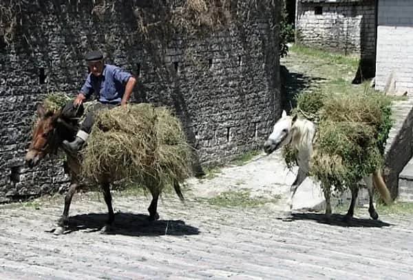 Individuelle Rundreise durch Albanien – Unentdeckte Perlen des Balkans erleben