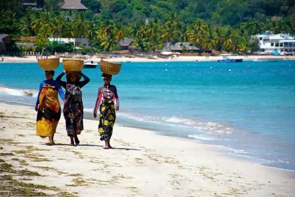 Reisen nach Madagaskar – Maßgeschneidert für Tier- und Naturfreunde
