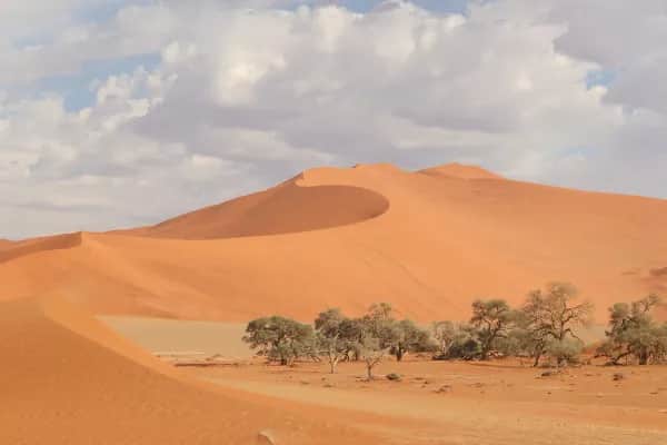 Namibia entdecken – Wüste, Wildlife und Weite